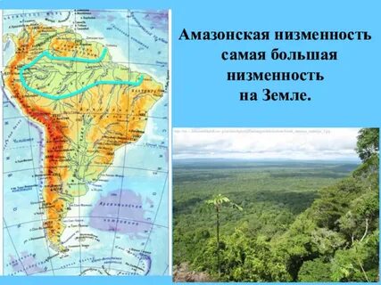 В какой стране самая большая низменность