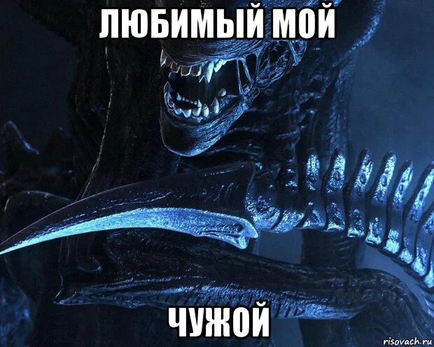 Aliens colonial marines арты. чужой из алиен изолейшен. факультет погонщиков. чужая глава 1. смолин ведьмак.