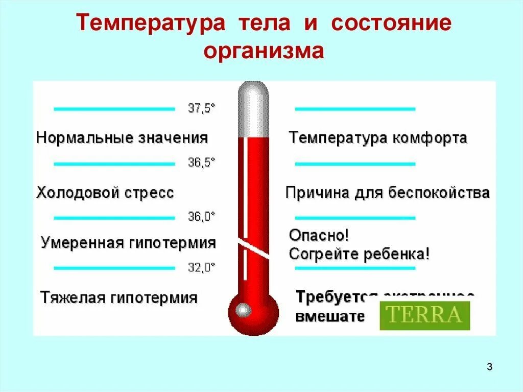 Почему подымается температура. Температура тела. высокая температура тела. какая нормальная температура. при высокой температуре тела.