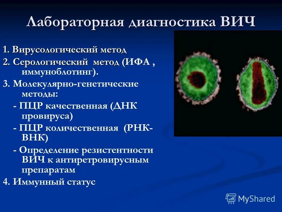 Лабораторная диагностика вич инфекции осуществляется методом определения