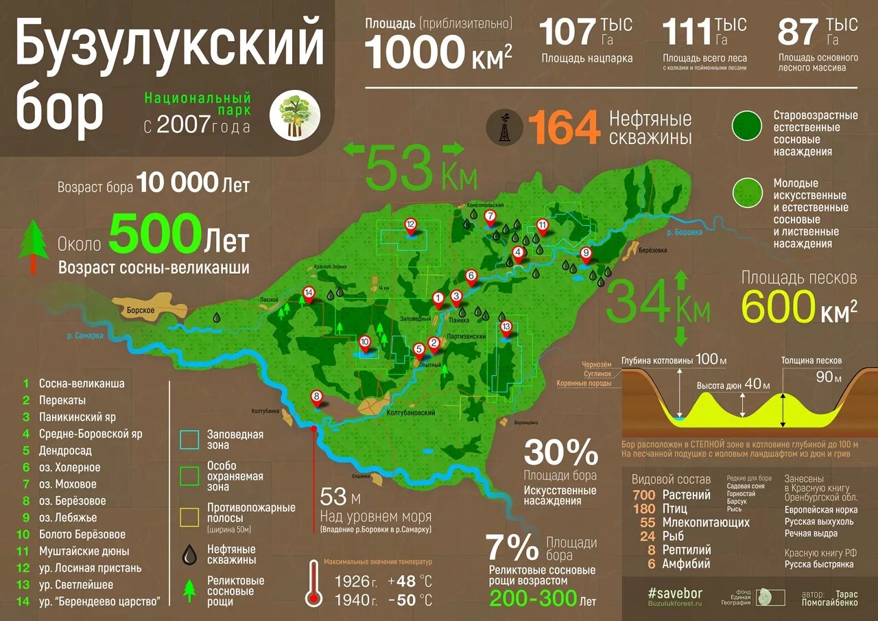 Карта осадков сосновый бор. Бузулукский Бор национальный парк на карте. Карта национального парка Бузулукский Бор. Бузулукский Бор национальный парк на карте области. Бузулукский Бор схема.