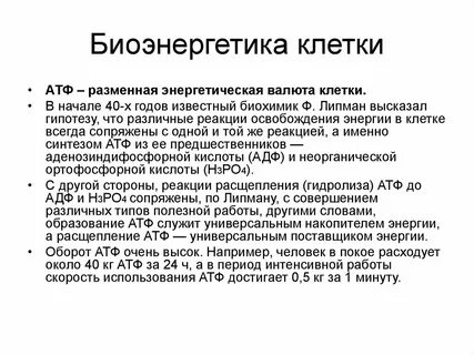 Биоэнергетика это
