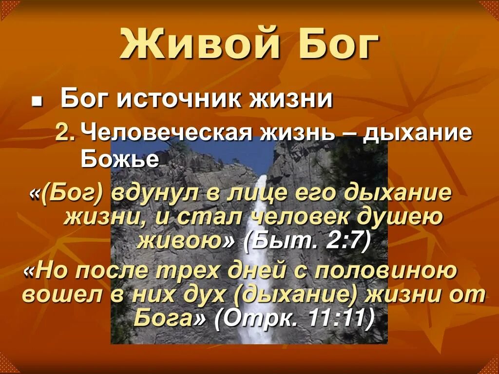 Сколько живут боги. Бог источник всего. Бог источник жизни. Первоисточник Бог. Бог источник жизни для человека.