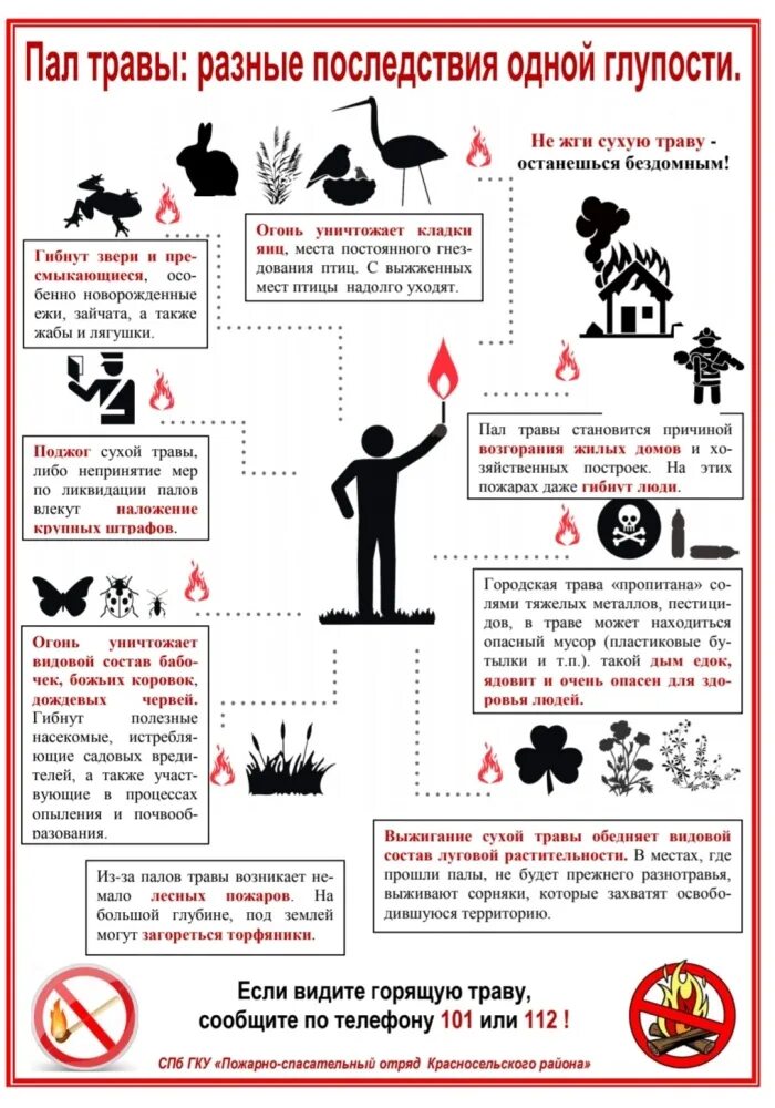 Какой штраф за поджог. Памятка для детей пал травы. Пал сухой травы памятка по пожарной безопасности для детей. Пал сухой травы МЧС памятка. Памятка по палу травы.