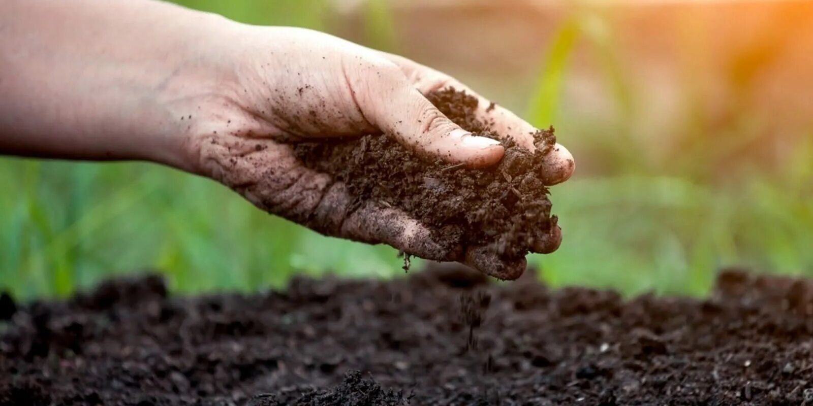 Повышением плодородия земли. Почва. Земля грунт. Плодородная почва. Плодородие почвы.
