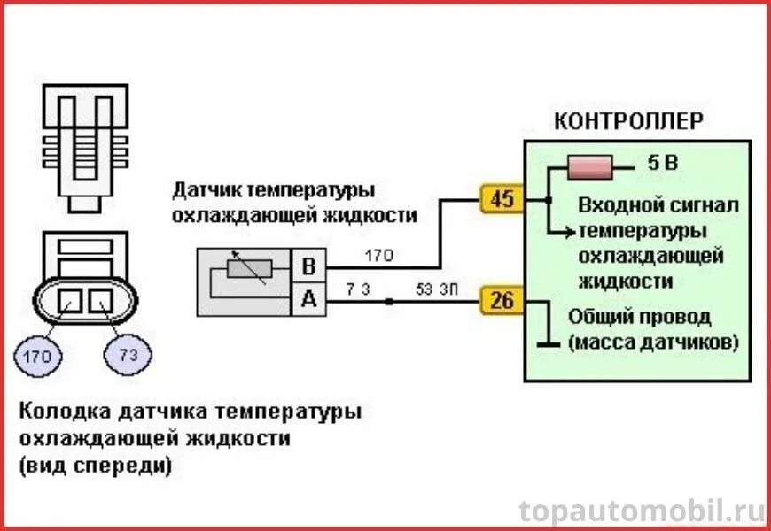 Как проверить датчик включения. Распиновка датчика температуры ож ваз 2114. схема датчика охлаждающей жидкости ваз 2110. схема датчика температуры охлаждающей жидкости ваз 2110. схема подключения датчика температуры охлаждающей жидкости ваз 2114.