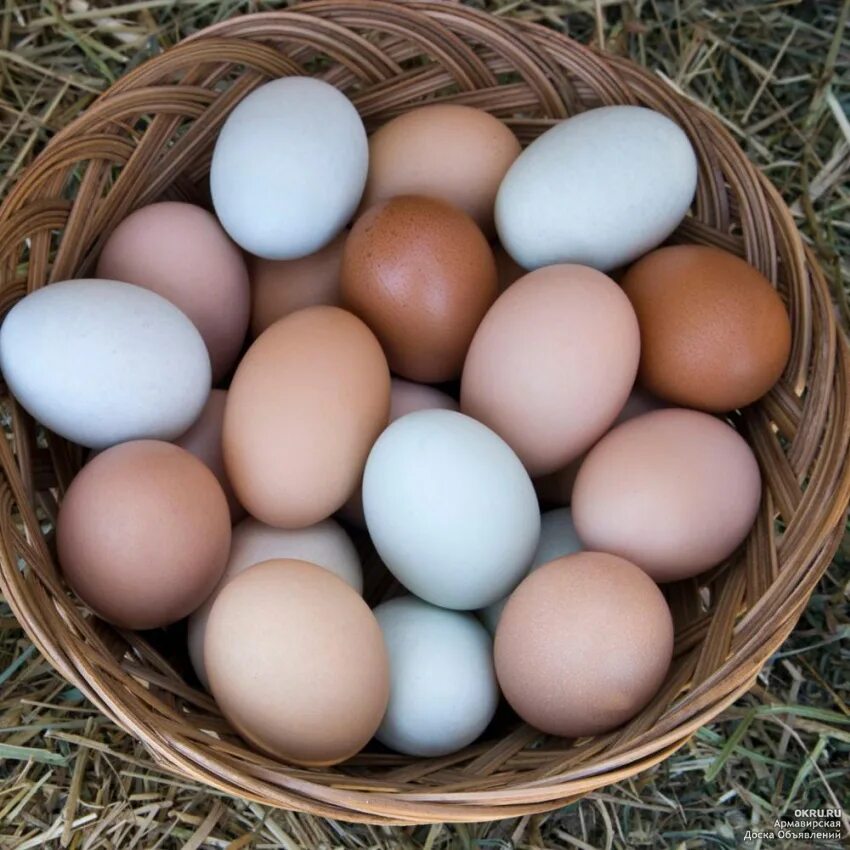 Яйца купить рязань. Яйцо куриное. Яйцо домашнее куриное. Яйца Деревенские. Яйца куриные Деревенские.