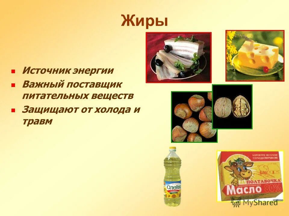 Как можно защитить продукты