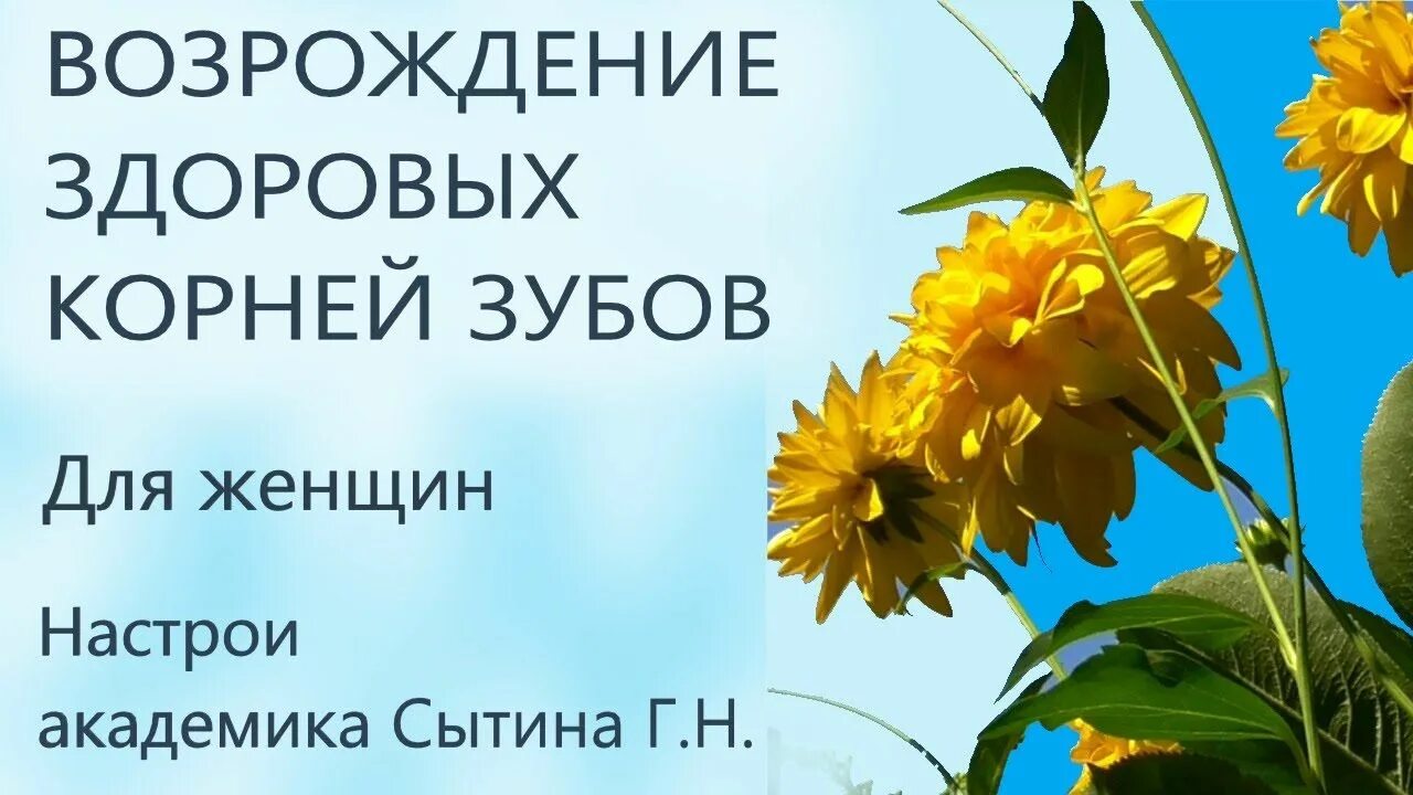 Сытин настрои для женщин омоложение. Маэстро и мир женщины настрои Сытина. Сытин настрой на суставы. Настрои Сытина для восстановления зубов. Настрои Сытина на всю семью.