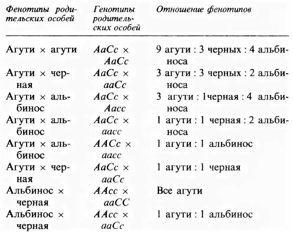 Запишем соотношение генотипов и фенотипов. Соотношение фенотипов. Таблица фенотипов. Соотношение фенотипов у потомства. Соотношения фенотипов и генотипов таблица.