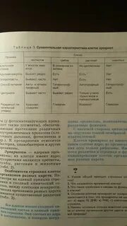 Строение клеток организмов разных царств таблица