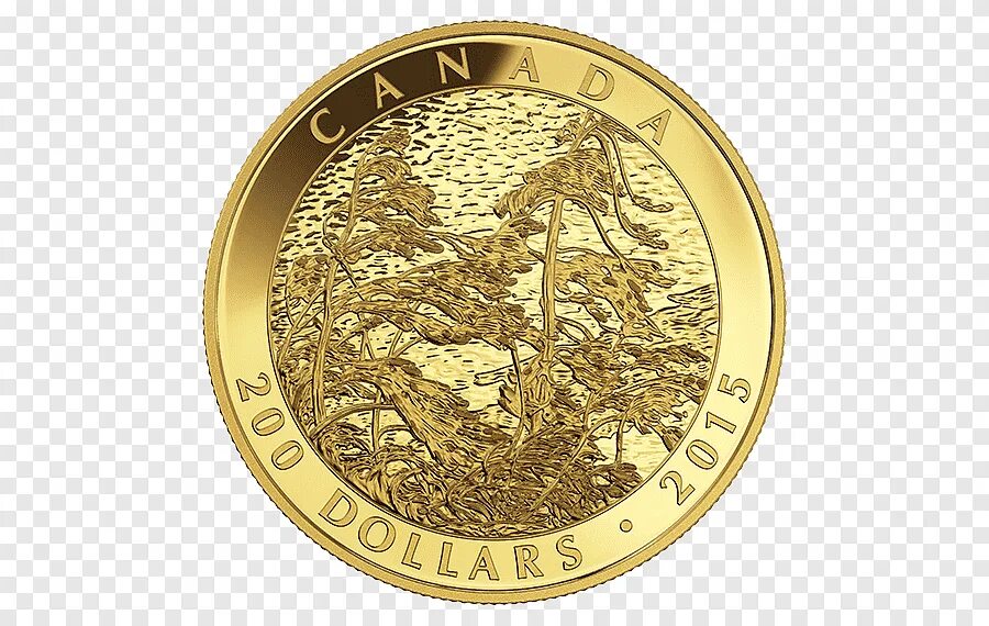 Золотой дом монеты купить. Монеты Канады Голд. Золотые Монетка Канада. Монета Золотая. Золотые монеты без фона.