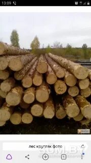 Куб сосны весит