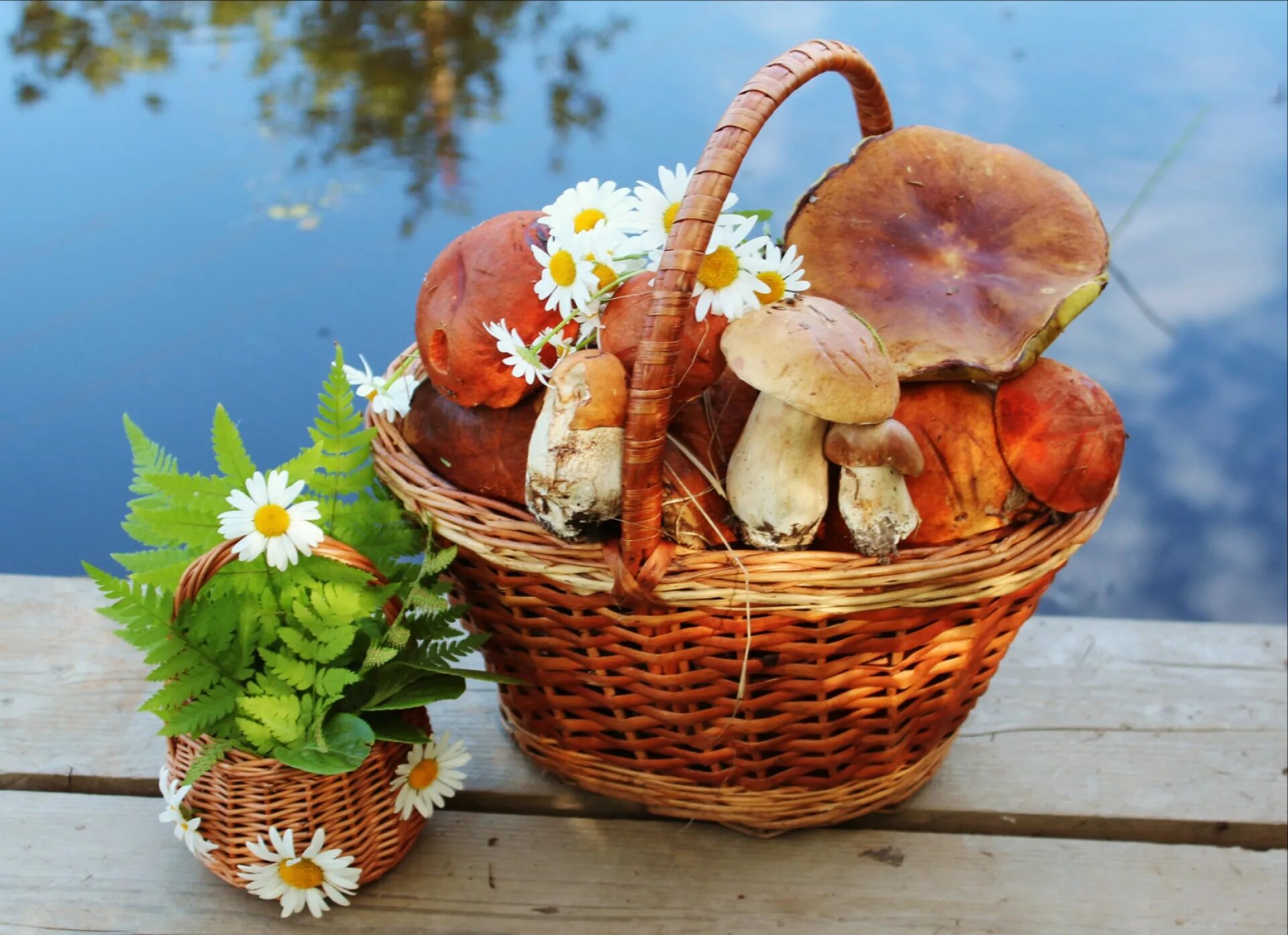 Корзинка для пикника. Сумка корзина с кожаными ручками. Кто живет в теплом море. Сахарнов «кто в море живет», «морские сказки». Книжка для детей лукошко.