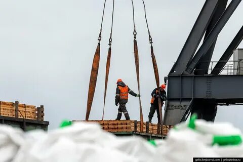 Экономия архангельск
