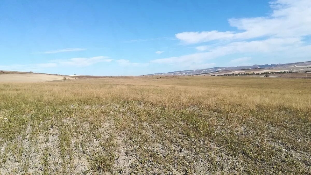 Продать пай земли сельхозназначения. Земельный пай сельхозназначения. Паевые земли сельхозназначения. Продать пай земли сельхозназначения. Пай на землю сельхозназначения.