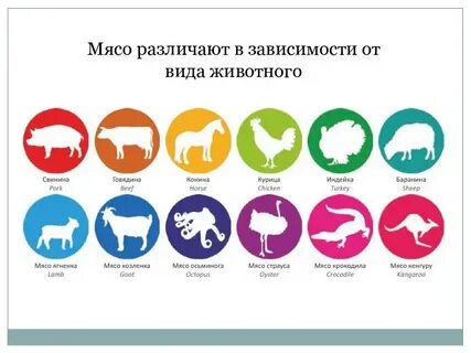 Различаются в зависимости от