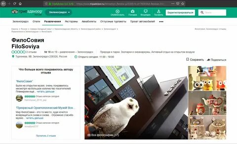 Отзывы рестораны трипадвизор