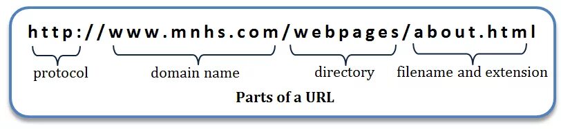 Уровни url. Схема URL. URL uri. Uri пример. URL uri разница.