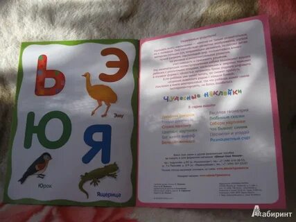 Включи живая азбука