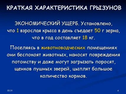Характеристика грызунов