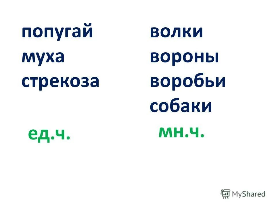 Множественное число слова трактор. Бухгалтеры или бухгалтера правило. Лова в форме именительного падежа множественного числа герб. Множесивенное чисто диспетчер. Образуйте форму именительного падежа множественного числа.