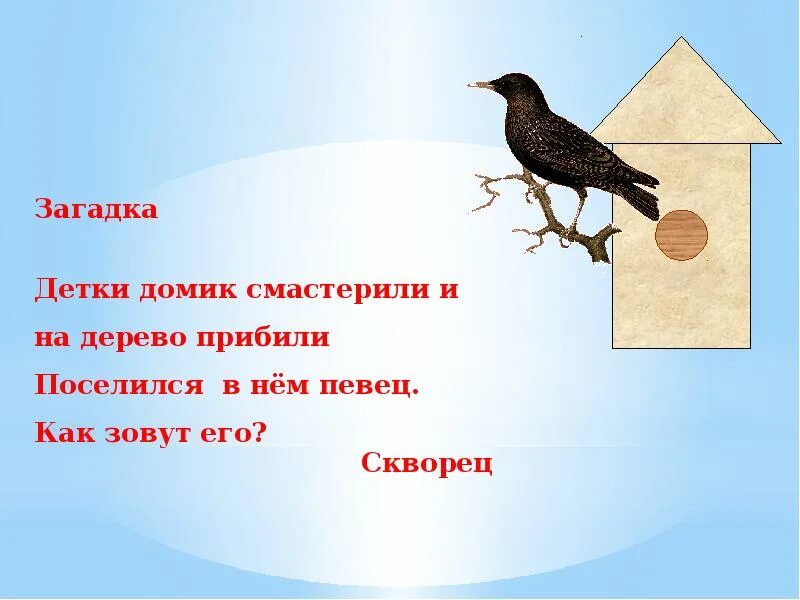 Загадка о скворце 2