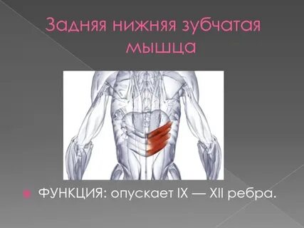 Зубчатая функции