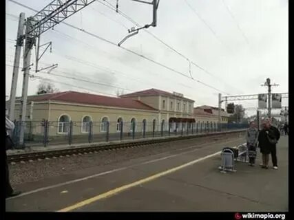 Железнодорожный петушки