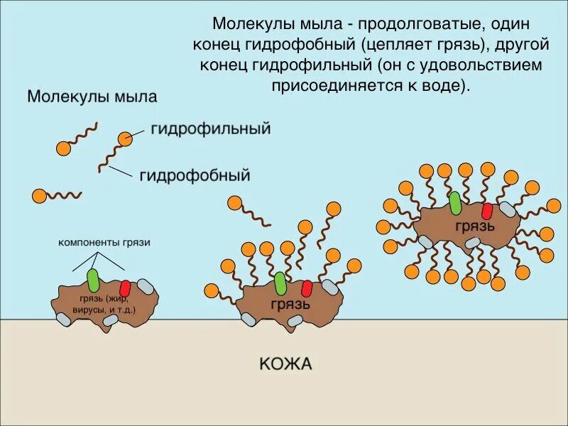 Схема действия мыла. Принцип действия мыла. Поверхностно активные вещества. Поверхностно-активные вещества мыло. Строение молекулы мыла.