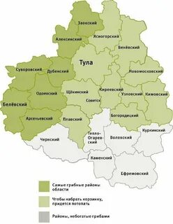 Тульская область на 2020 год