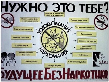 Здоровый образ жизни антинаркотический