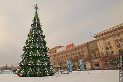 Ели харьков