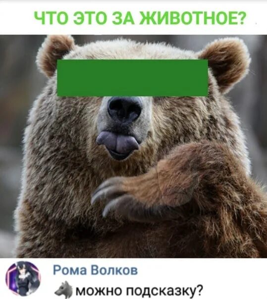 Сама будешь угадывать