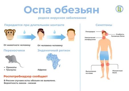 Оспа обезьян у человека как передается симптомы