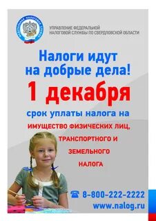 Срок уплаты земельного налога 3 квартал 2024