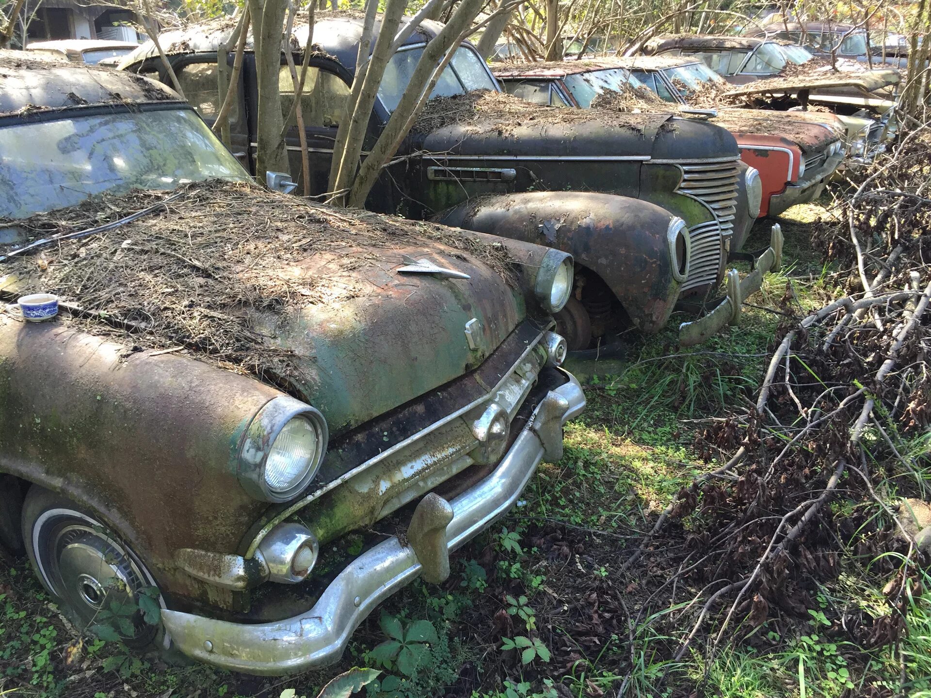 Кладбище заброшенных автомобилей в сша. Автосвалка в сша. На свалке нашли машину. Заброшенная автосвалка. Брошенные советские автомобили.