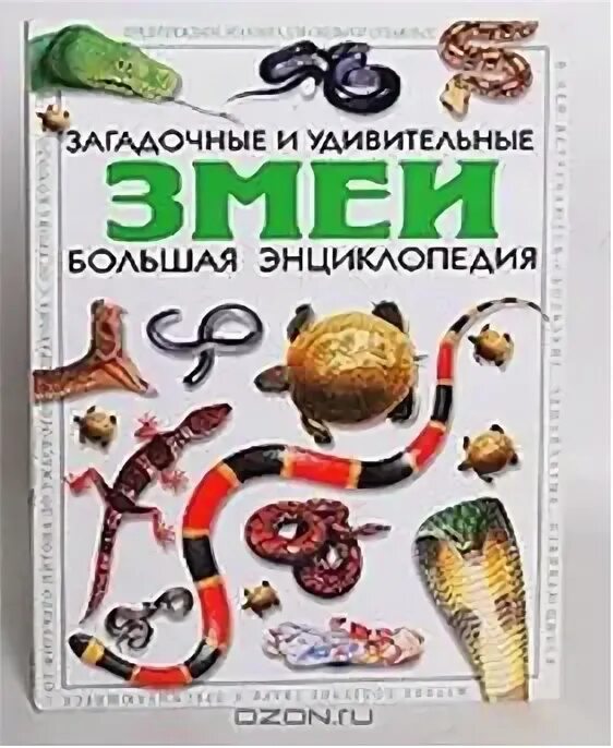 Детская энциклопедия Росмэн змеи. Энциклопедия про змей. Книги про змей для детей. Книги о змеях для детей.