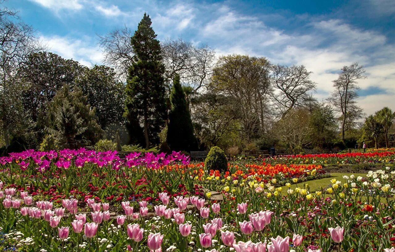 Uk parks. Парк в Англии парк Уэльса. Парк Асикага тюльпаны. Парк Асикага цветение тюльпанов.