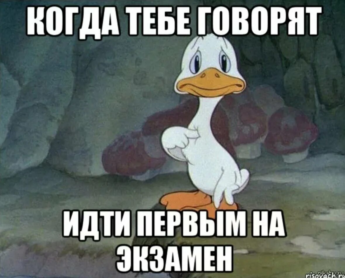 Надеяться сдать. Экзамен картинки прикольные. Со сдачей экзамена картинки прикольные. Смешные картинки про экзамены. Экзамен Мем.