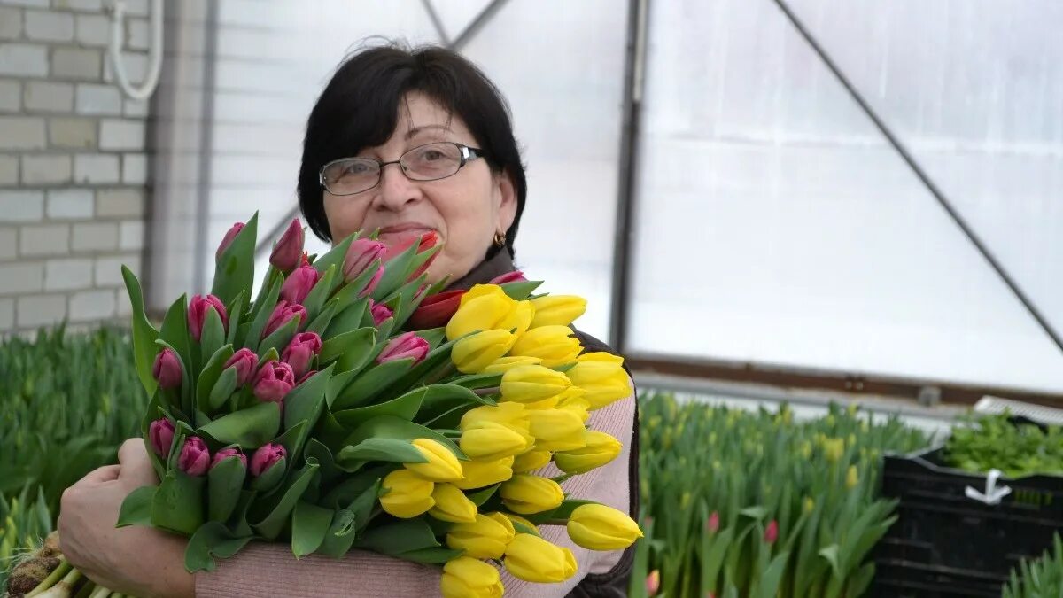 Купить тюльпаны в рязани. Весенние цветы тепличные. Цветы тюльпаны в школе. 1000 Тюльпанов. Тюльпаны в офисе.