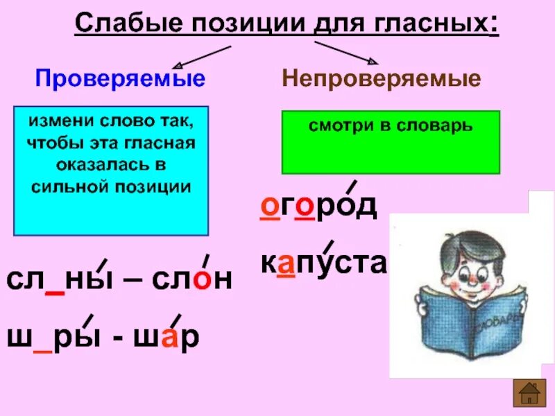 выделить орфограммы в словах. орфограммы в окончаниях. плавать орфограмма в слове. плавать орфограмма в слове. что такое орфограмма.