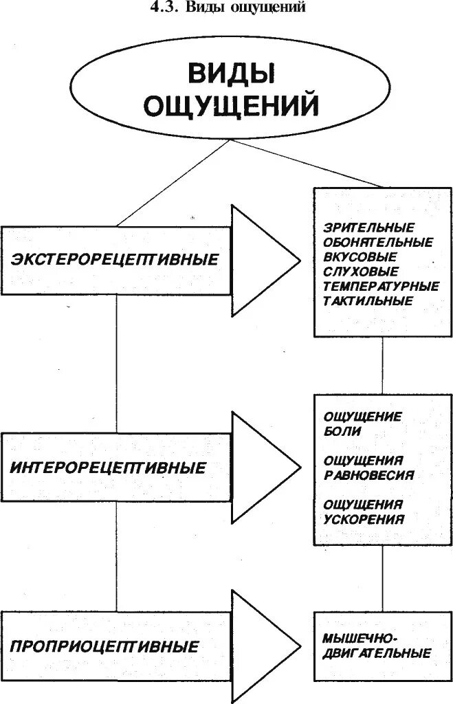 Схема виды ощущений психология. Виды ощущений в психологии таблица. Виды ощущения и восприятия в психологии таблица. Виды и свойства ощущений в психологии таблица. Функции восприятия и внимания