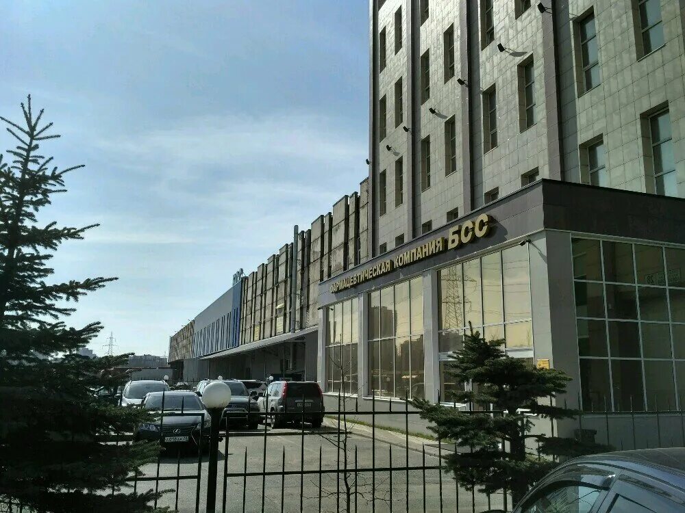 бсс. вектор бсс. бсс.