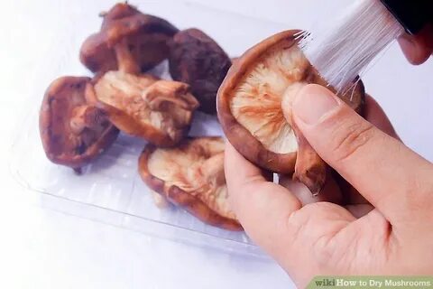 Сушеные в духовке грибы
