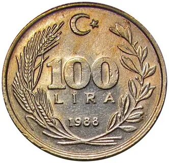 Турция 100 100 100