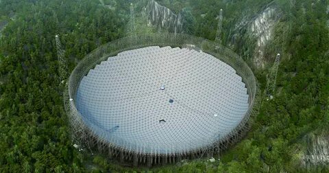 World's largest