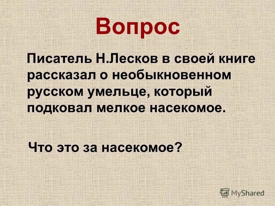 вопросы для автора. вопросы для автора. подготовка к олимпиаде по русскому языку. вопрос автору. вопросы для автора.