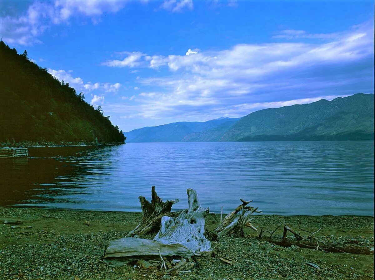 Республика алтай телецкое озеро. Телецкое озеро куда поехать. Иогач телецкое озеро. Телецкое озеро куда поехать. Горно-алтайск телецкое озеро.