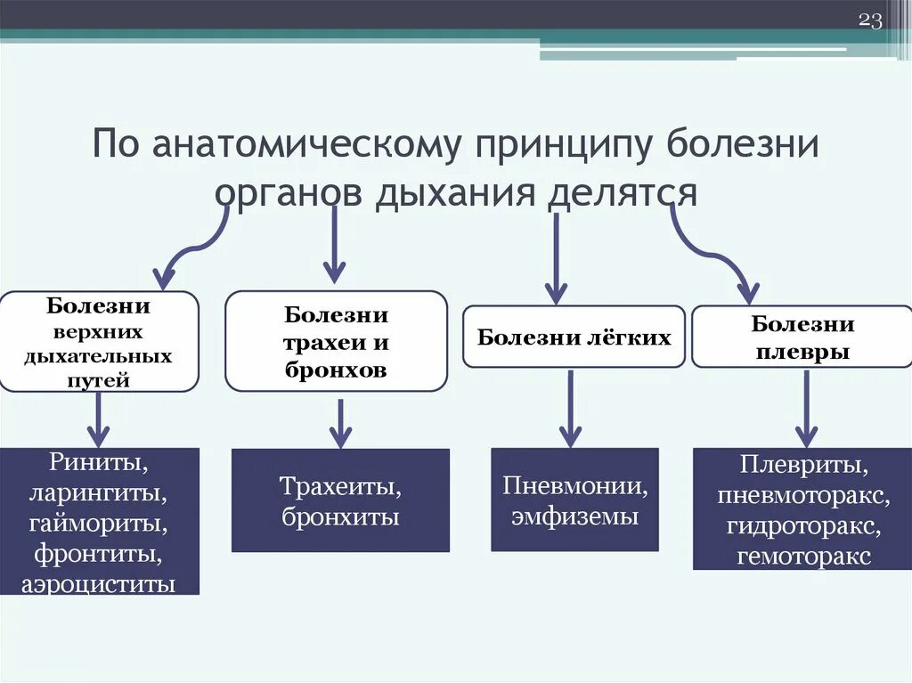 Классификация болезней органов дыхания. Общая классификация болезней органов дыхания патанатомия. Таблица основные синдромы заболеваний дыхательной системы. Заболевания дыхательных путей классификация.